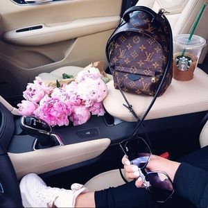 SOLD NWT Authentic Louis Vuitton Palm Springs mini